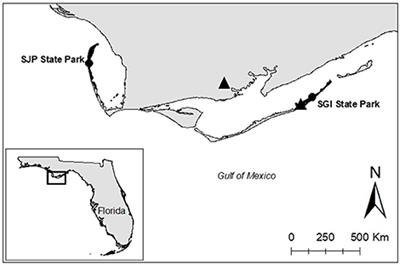 Influences of the Local Climate on Loggerhead <mark class="highlighted">Hatchling</mark> Production in North Florida: Implications From Climate Change